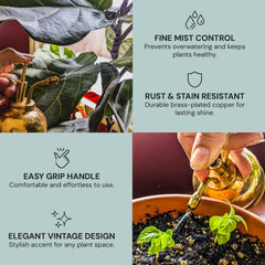Sustainable Village mister used on fern increasing humidity without overwatering benefit