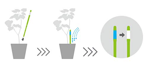Sustee close-up of color indicator showing white and blue for clear watering guidance