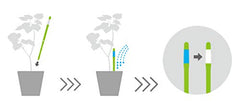 Sustee close-up of color indicator showing white and blue for clear watering guidance