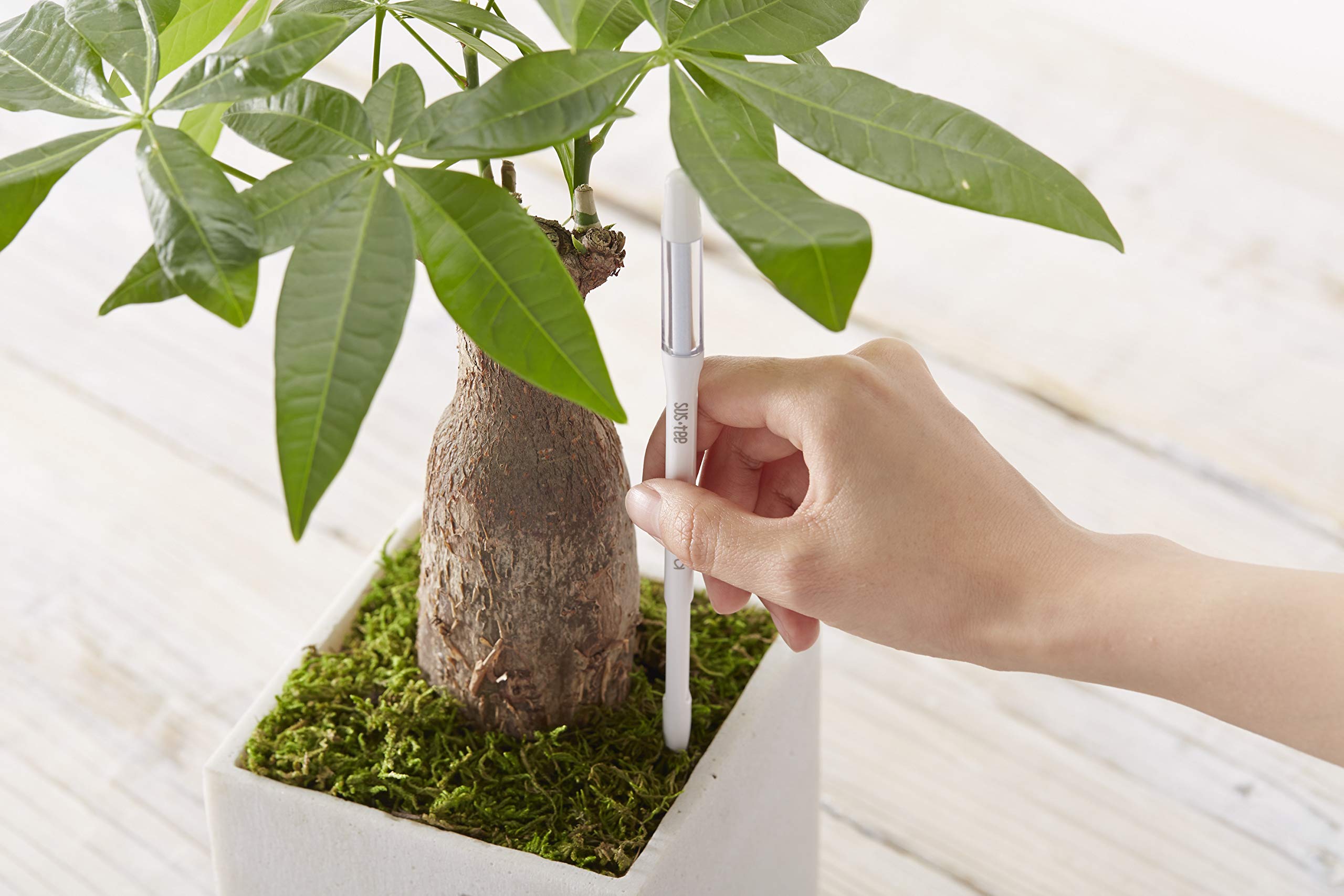 Sustee stick inserted in potted plant demonstrates hands-free moisture checking for convenience