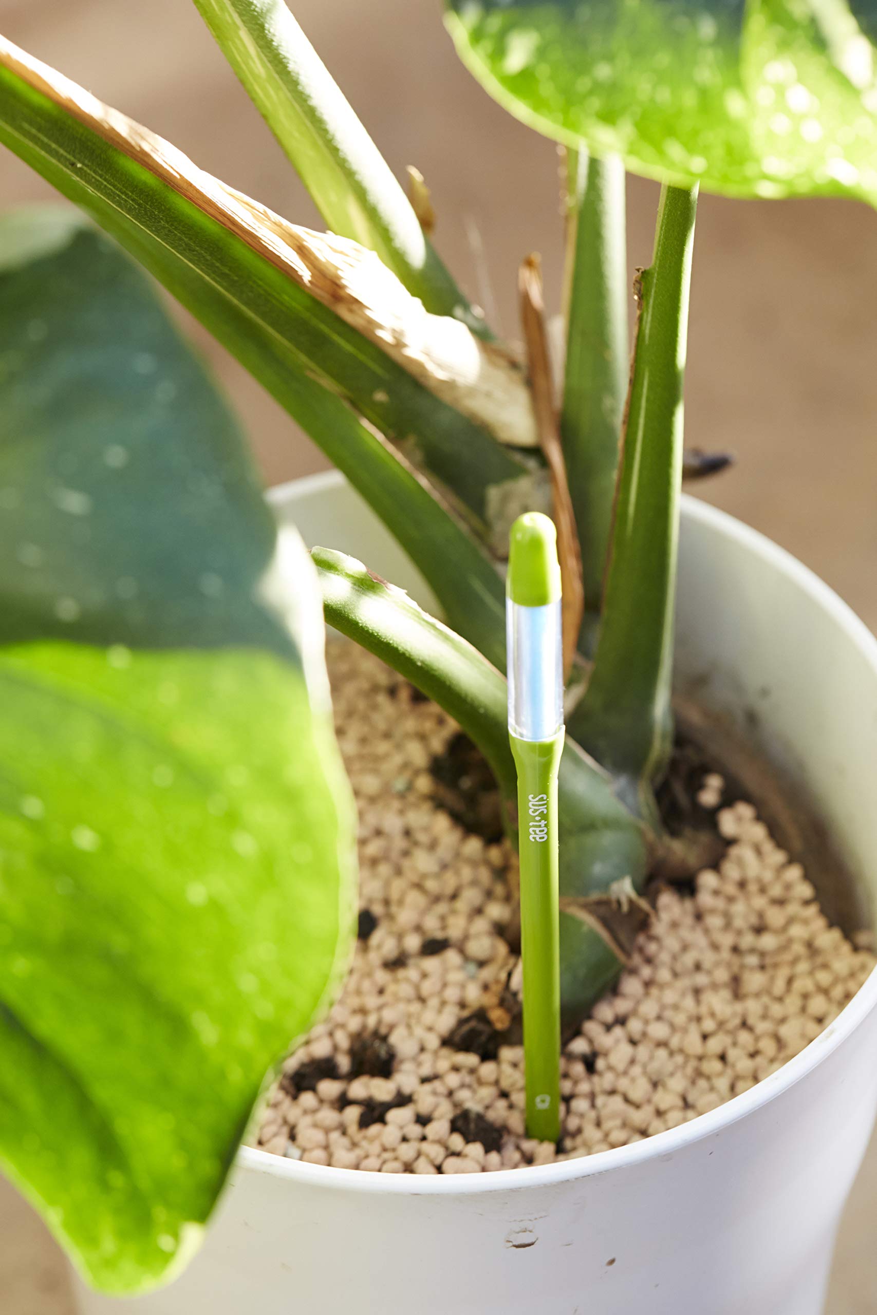 Sustee plastic stick texture close-up highlighting durable, low-maintenance build