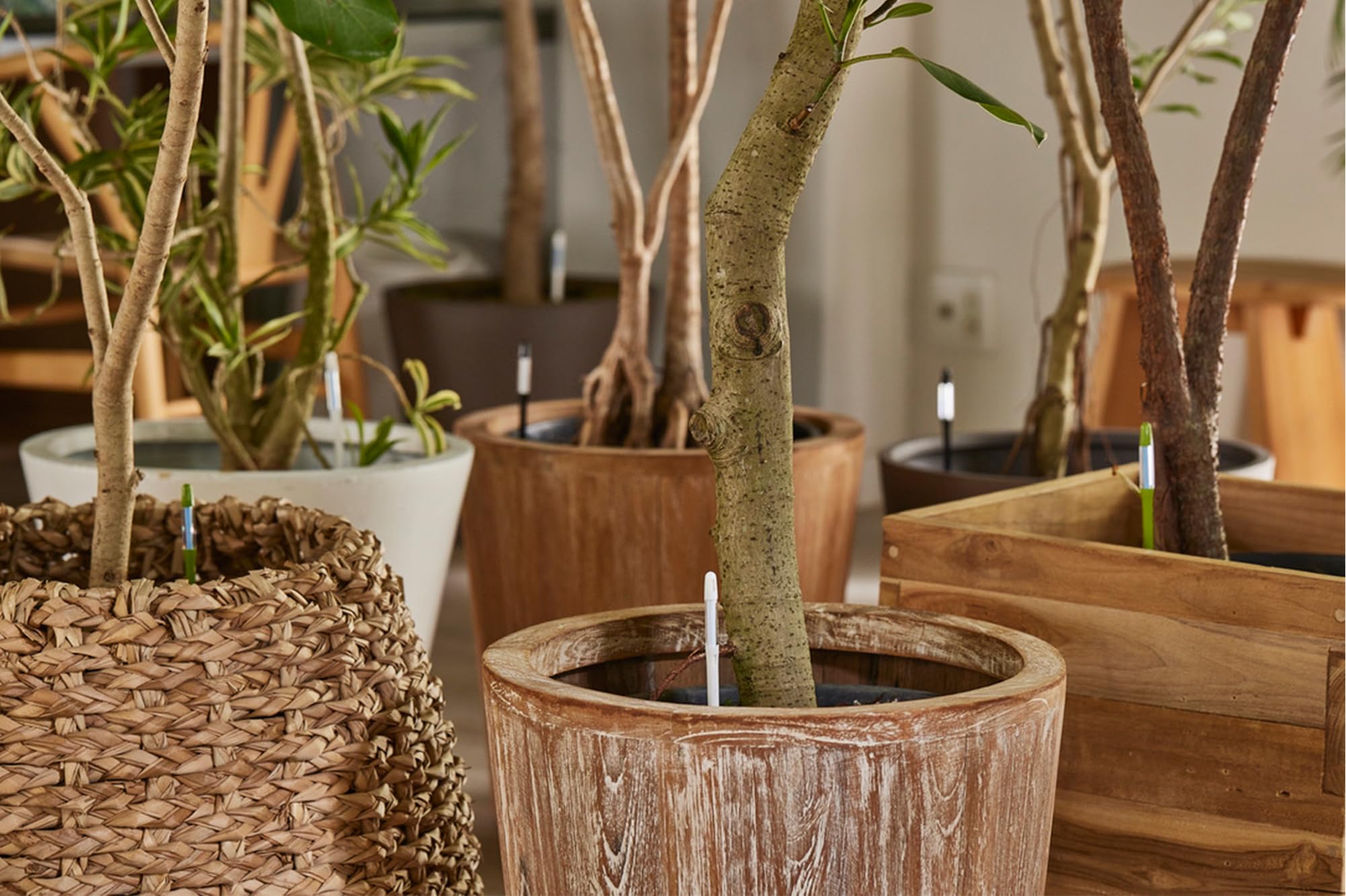 Sustee displayed on shelf with plants highlighting aesthetic black finish