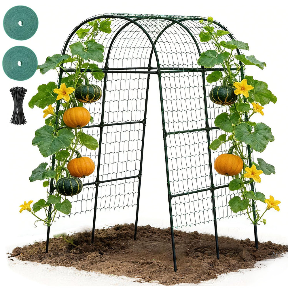 Suteck garden arch front view showing full 7.5ft height and elegant shape for entrances