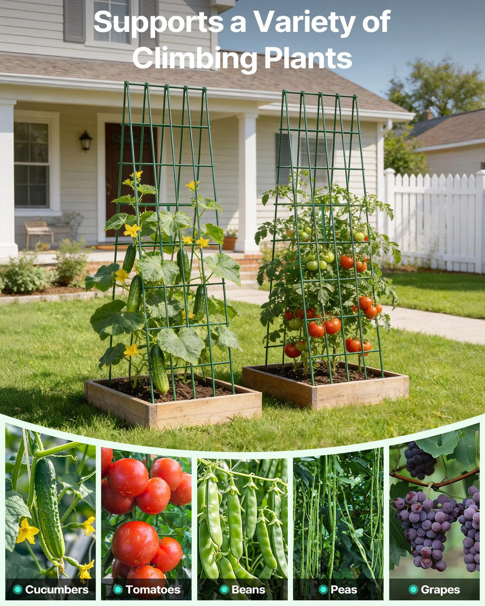 Suteck used in patio container garden optimizing limited space for vegetables
