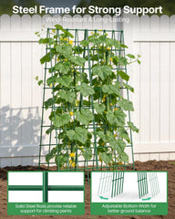 Suteck installed in raised bed showing improved airflow and easier harvesting