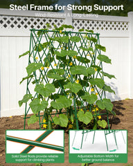 Suteck installed in a raised bed supporting cucumber vines for space-saving growth