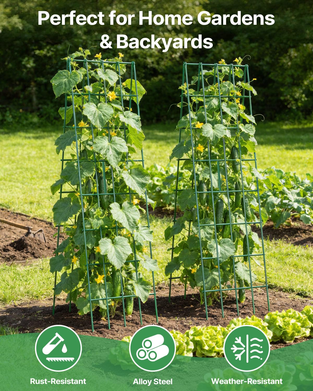 Suteck trellis next to garden tools illustrating size and scale in-use