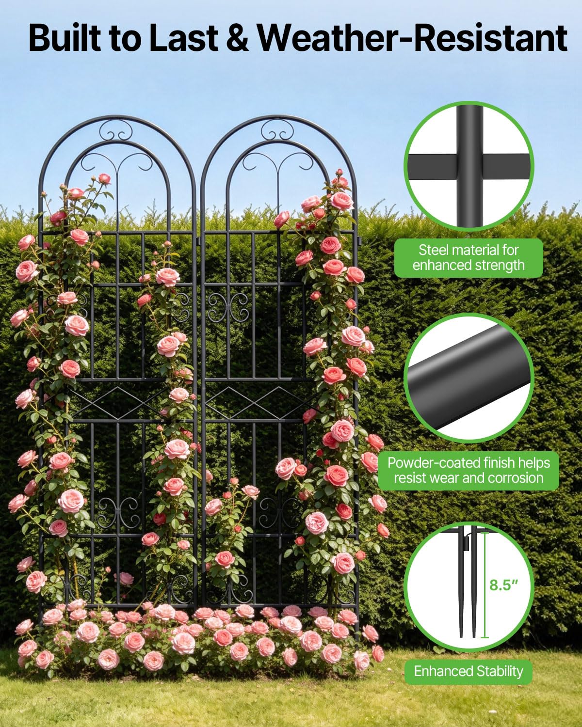 Suteck trellis beside ruler showing 71-inch height for scale and planting planning benefit