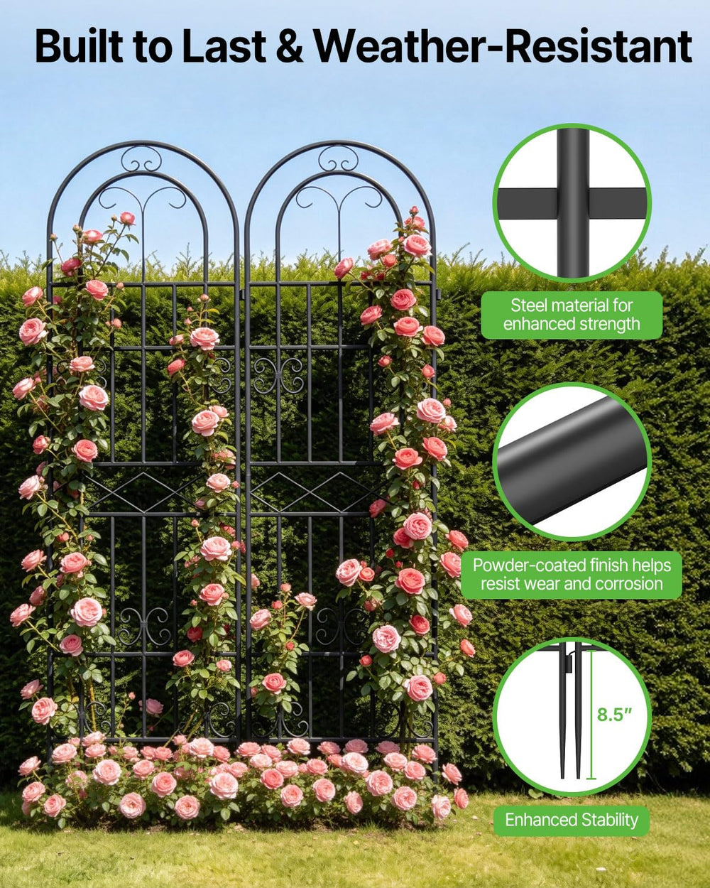 Suteck trellis beside ruler showing 71-inch height for scale and planting planning benefit