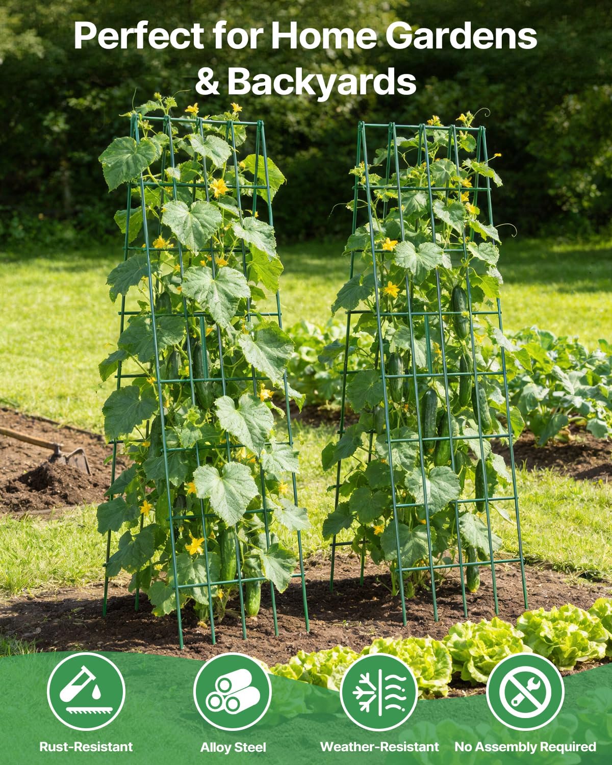 Suteck with vines trained using included straps and ties for stable support
