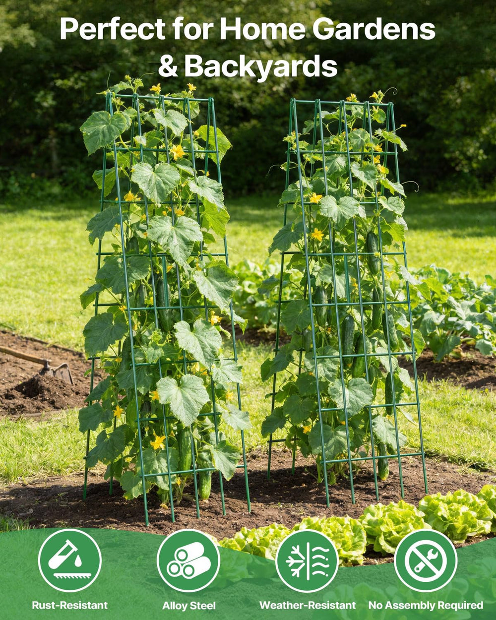 Suteck with vines trained using included straps and ties for stable support