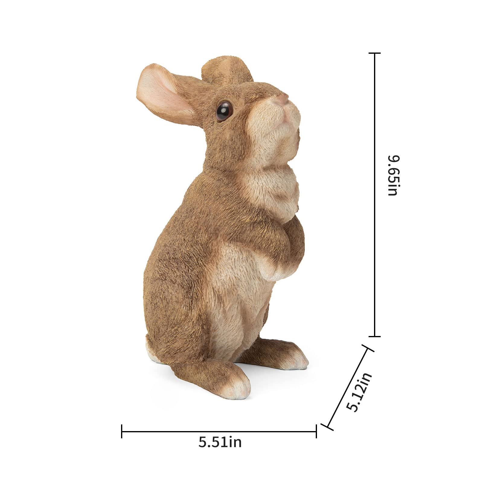 SUYNYBHF side profile highlighting sculpted ears and facial expression benefits