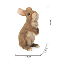 SUYNYBHF side profile highlighting sculpted ears and facial expression benefits