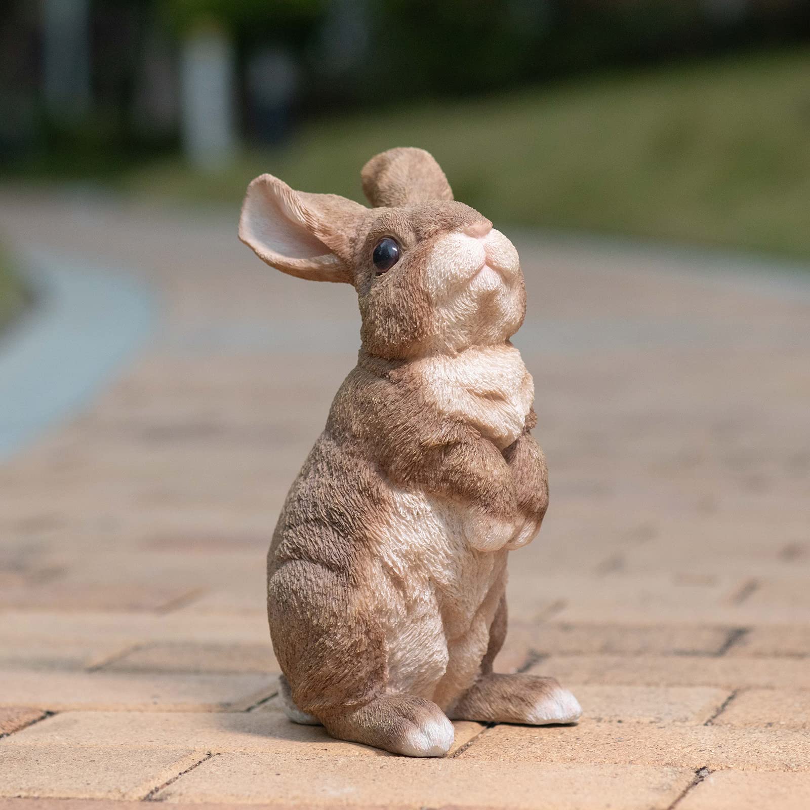 SUYNYBHF rabbit beside hand to show scale and easy portability benefit