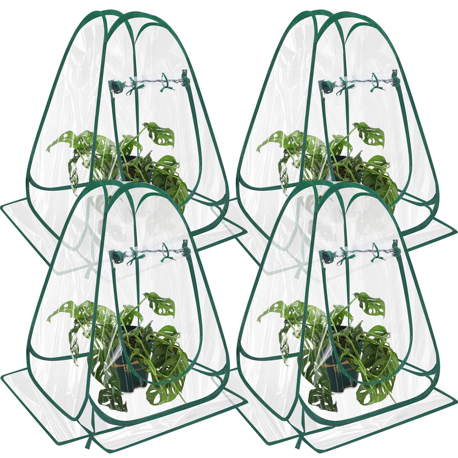 Suzile front view of four pop-up greenhouses protecting multiple plants, compact coverage benefit