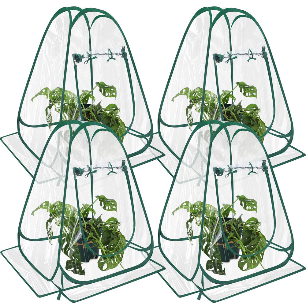 Suzile front view of four pop-up greenhouses protecting multiple plants, compact coverage benefit