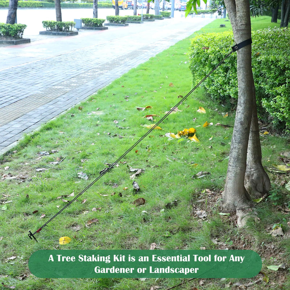 Suzile kit in use supporting a young tree with straps and stakes to prevent leaning