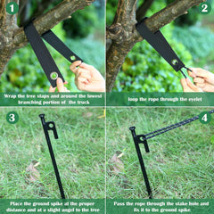 Suzile wide nylon strap texture protecting trunk while securing tree