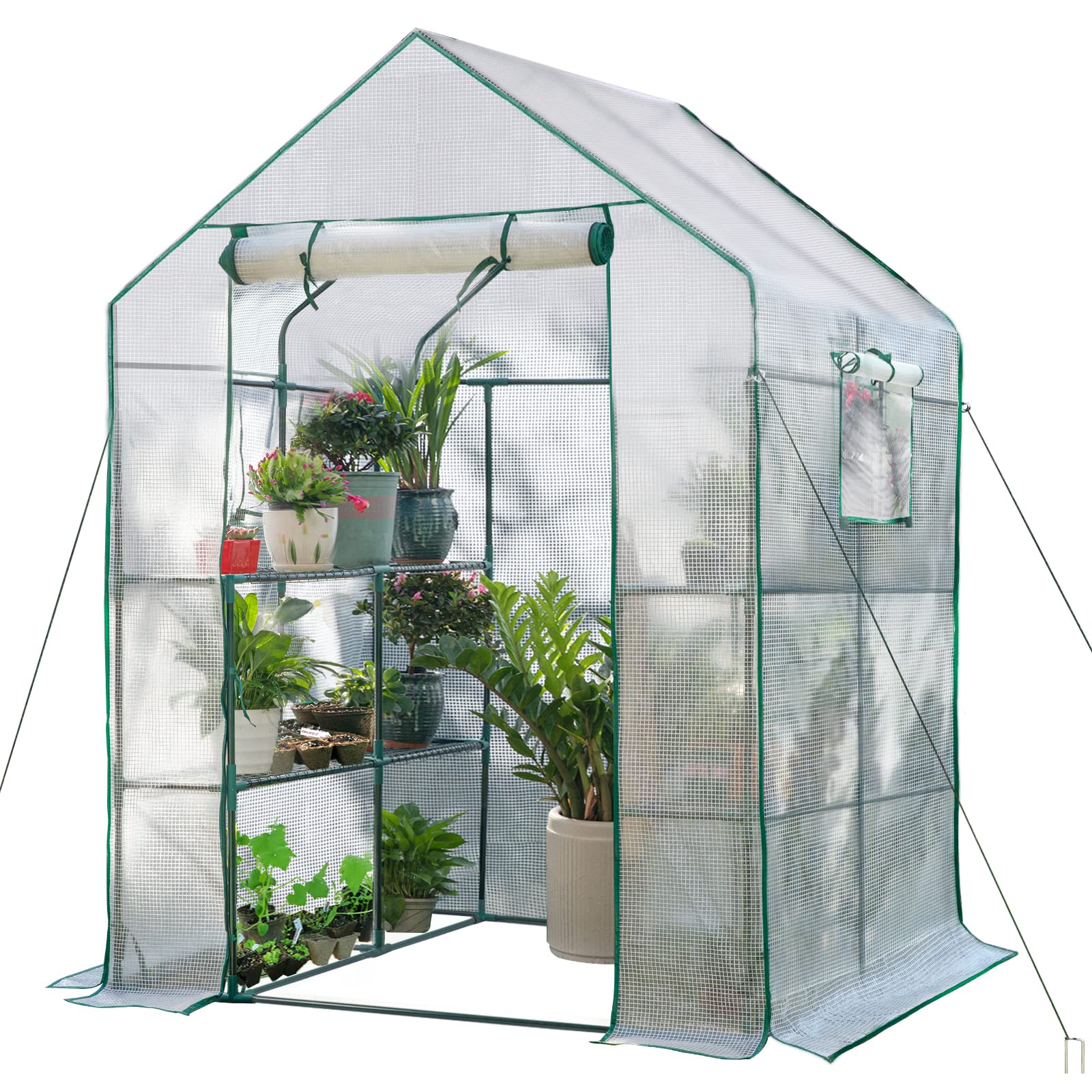 SV SCOOL VALUE front view of walk-in greenhouse showing shelves and entrance, neat plant organization