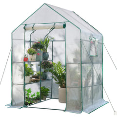 SV SCOOL VALUE front view of walk-in greenhouse showing shelves and entrance, neat plant organization
