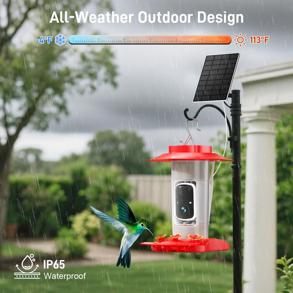 SV3C hummingbird feeding in use, natural viewing experience