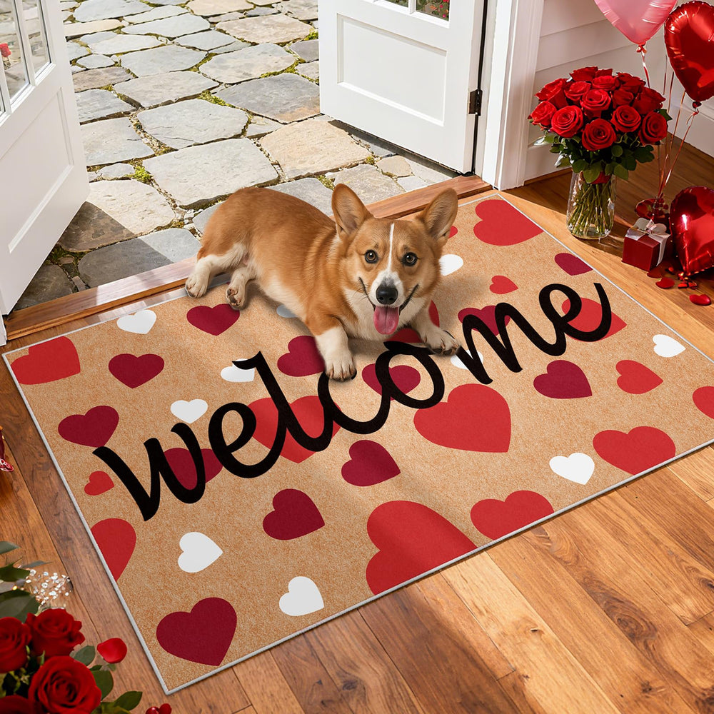 Svepndic mat positioned at door threshold showing low profile, fits under doors