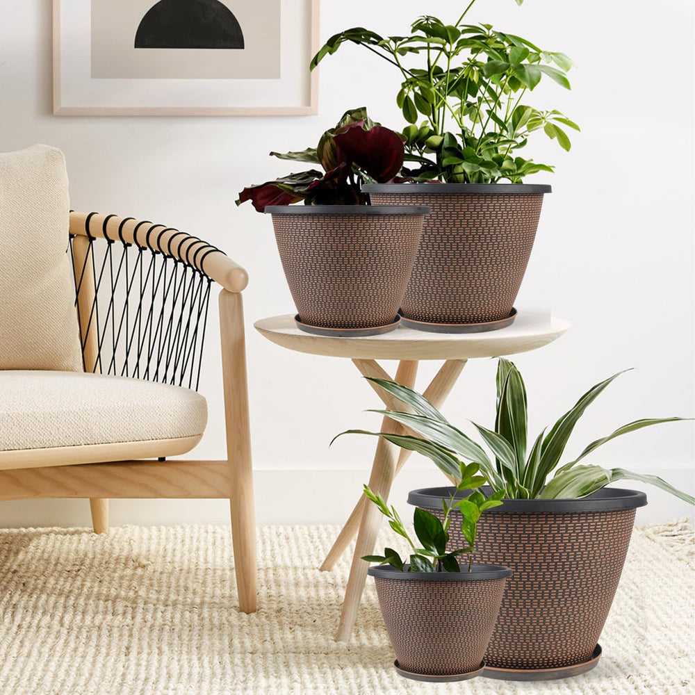 Svxtoby four pack arranged outdoors illustrating lightweight portability and cohesion