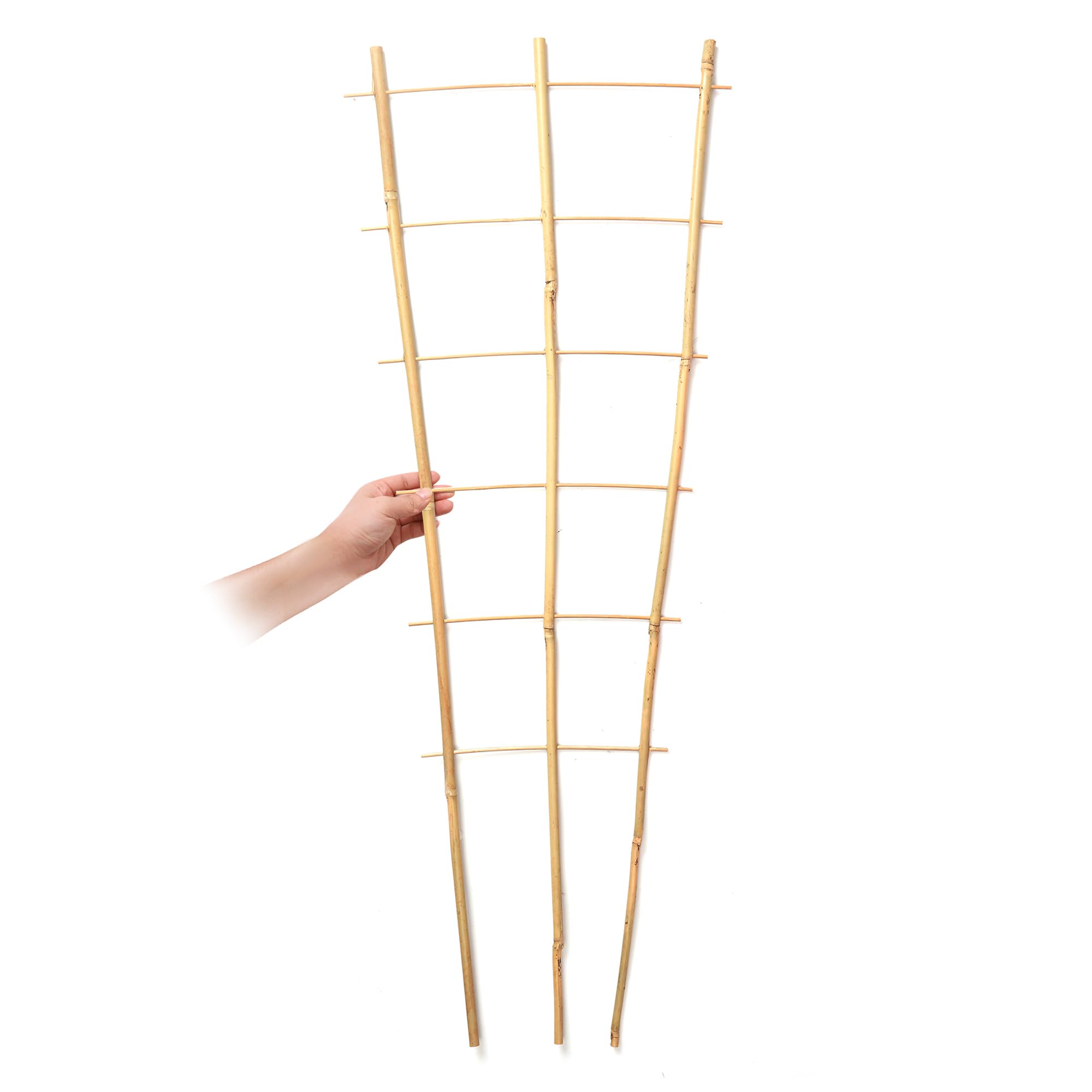 SWANGSA trellises on balcony with vines showing compact vertical gardening benefits