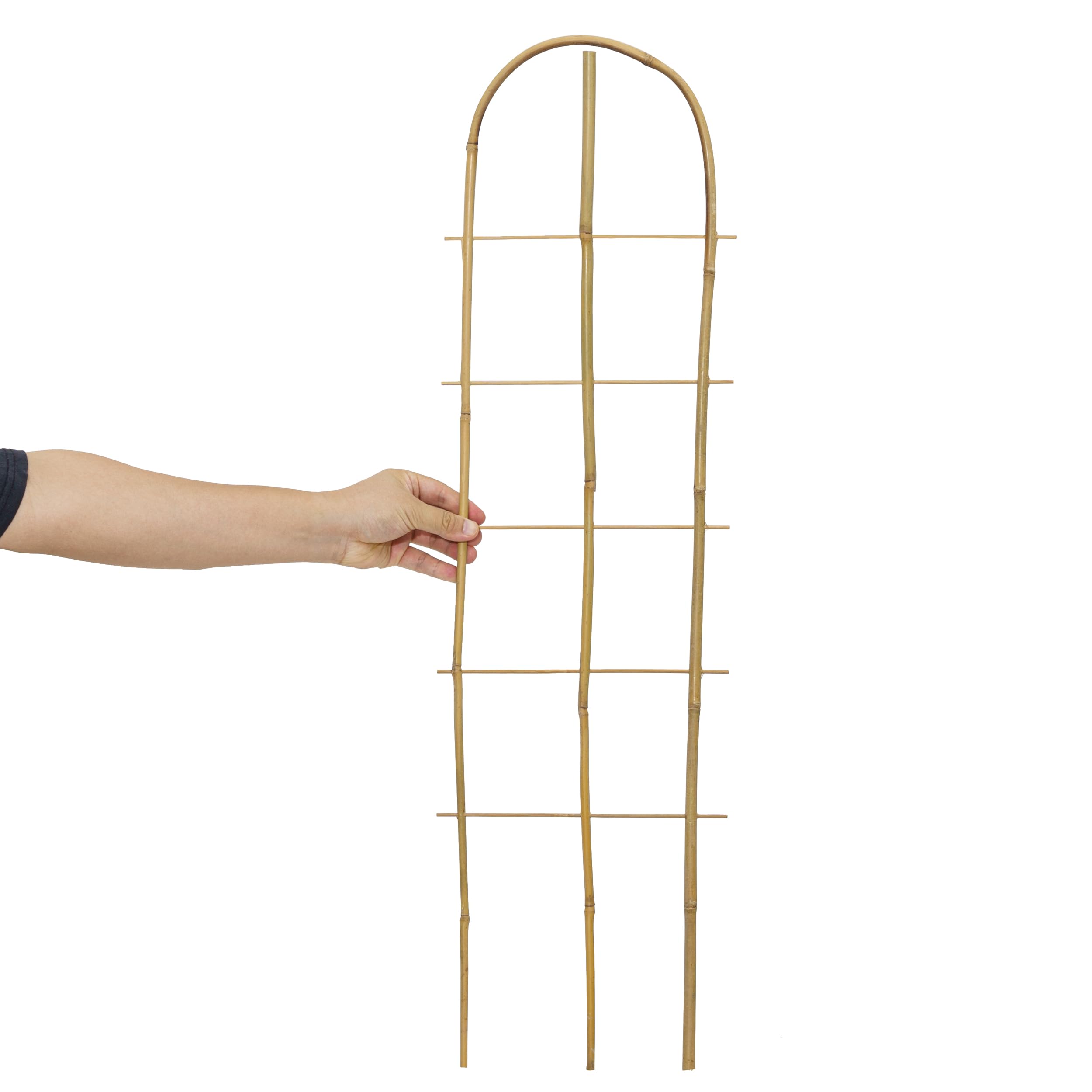 SWANGSA trellis in balcony planter creating vertical garden and saving floor space
