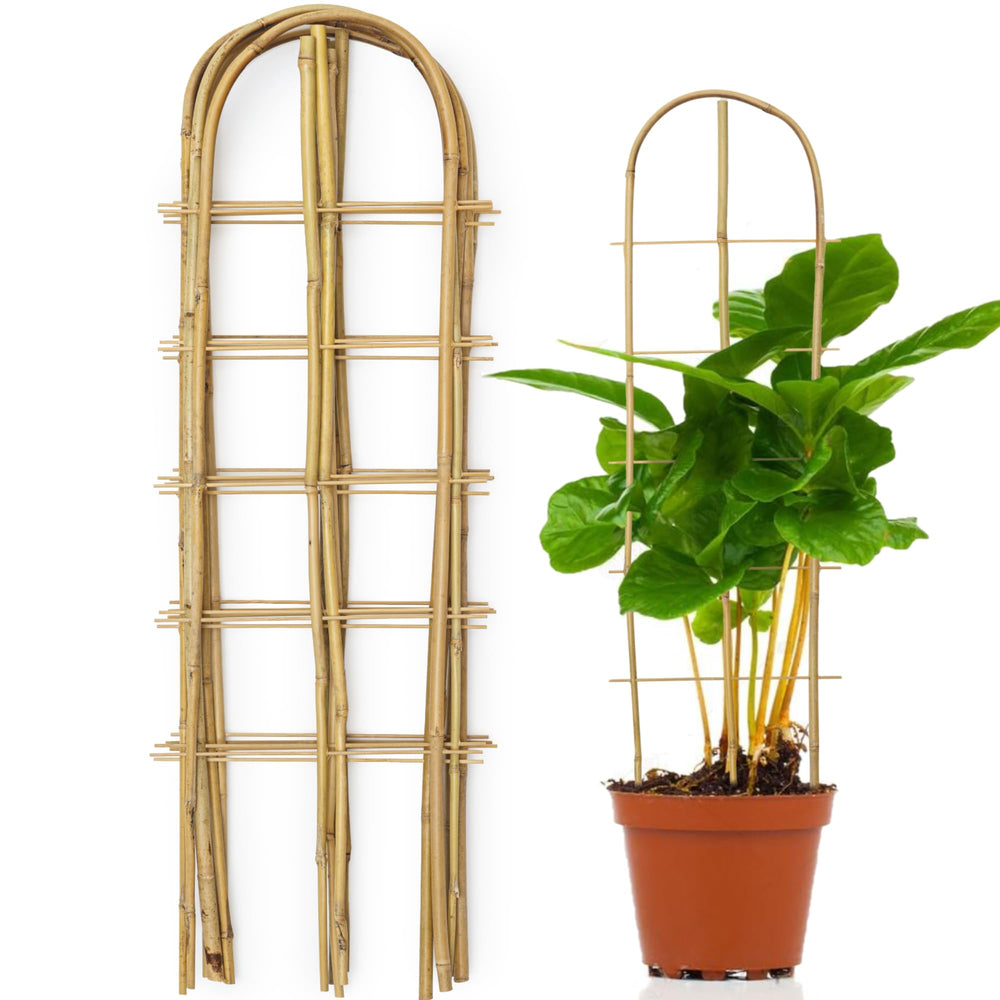 SWANGSA front view of six bamboo trellises showing neat pack and natural finish benefits