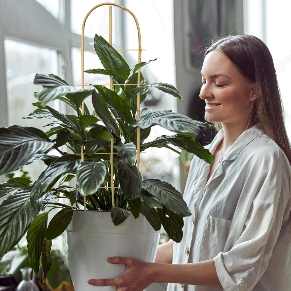 SWANGSA trellis beside a ruler illustrating 3ft height for scale and planning