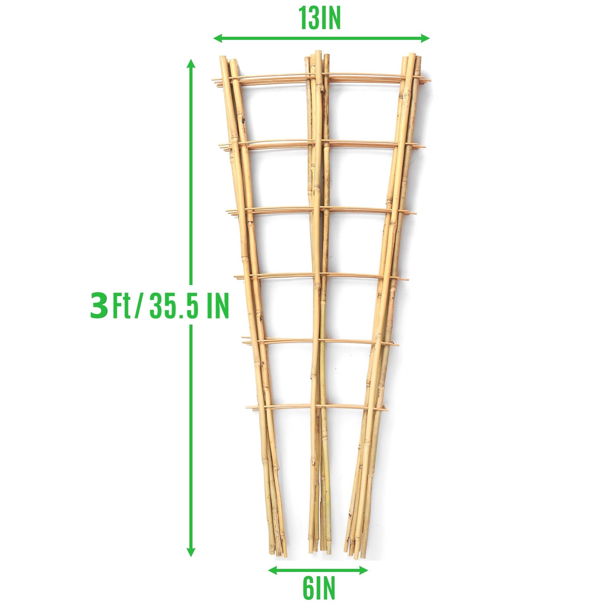 SWANGSA close-up bamboo texture showcasing durable natural material and strength