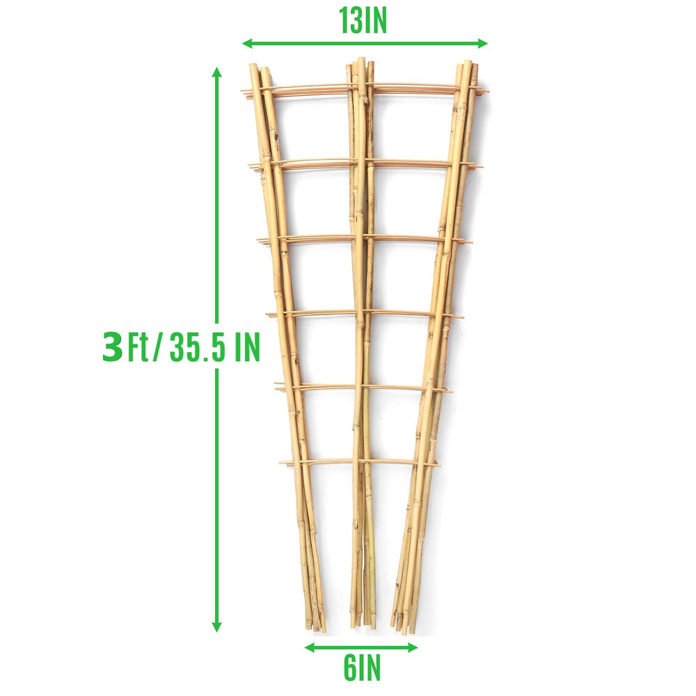 SWANGSA close-up bamboo texture showcasing durable natural material and strength