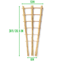 SWANGSA close-up bamboo texture showcasing durable natural material and strength