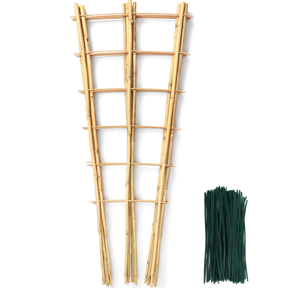 SWANGSA front view of six-pack trellis set showing neat natural bamboo supports