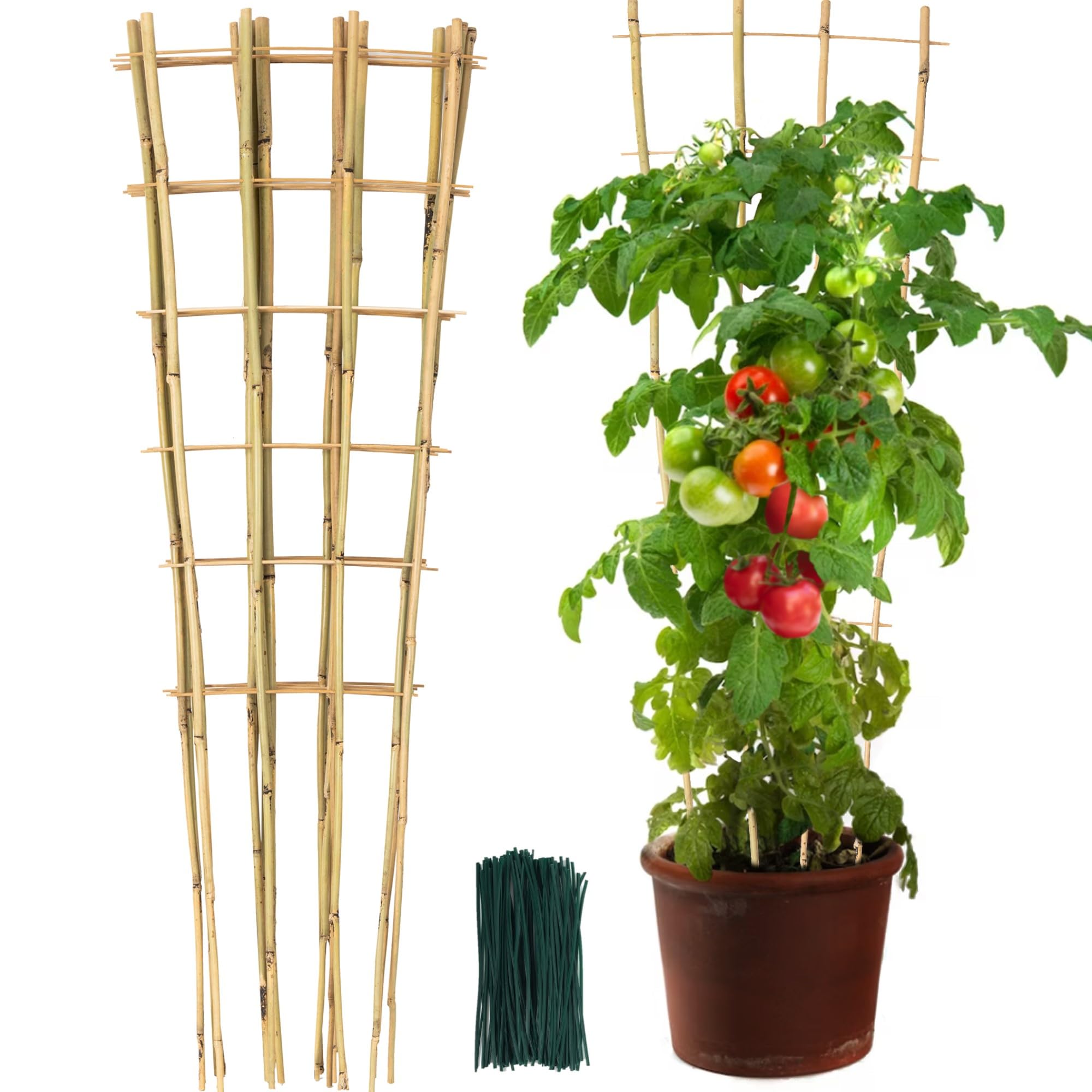 SWANGSA front view showing six fan-shaped bamboo trellises and included twist ties for quick setup
