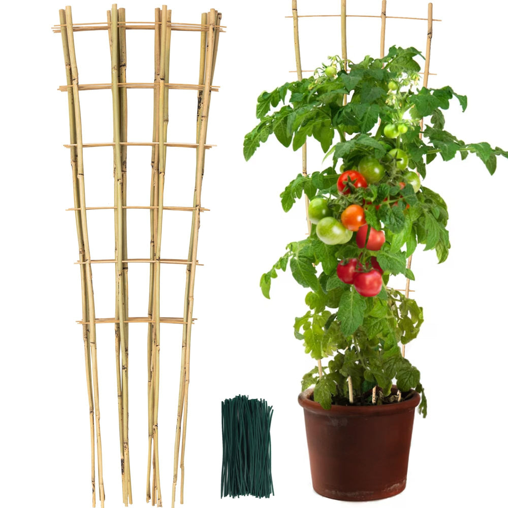 SWANGSA front view showing six fan-shaped bamboo trellises and included twist ties for quick setup