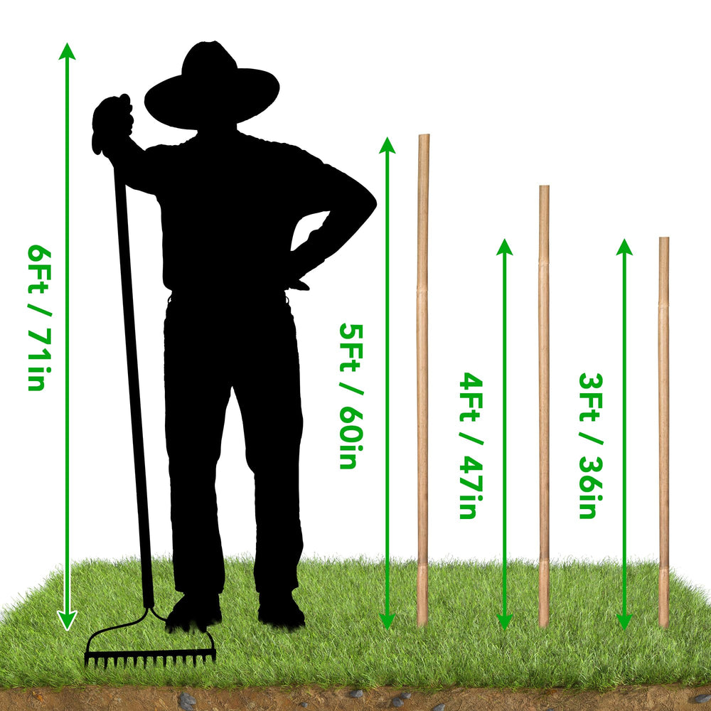 SWANGSA bamboo stakes used as trellis in garden scene showing tidy vertical training and improved airflow