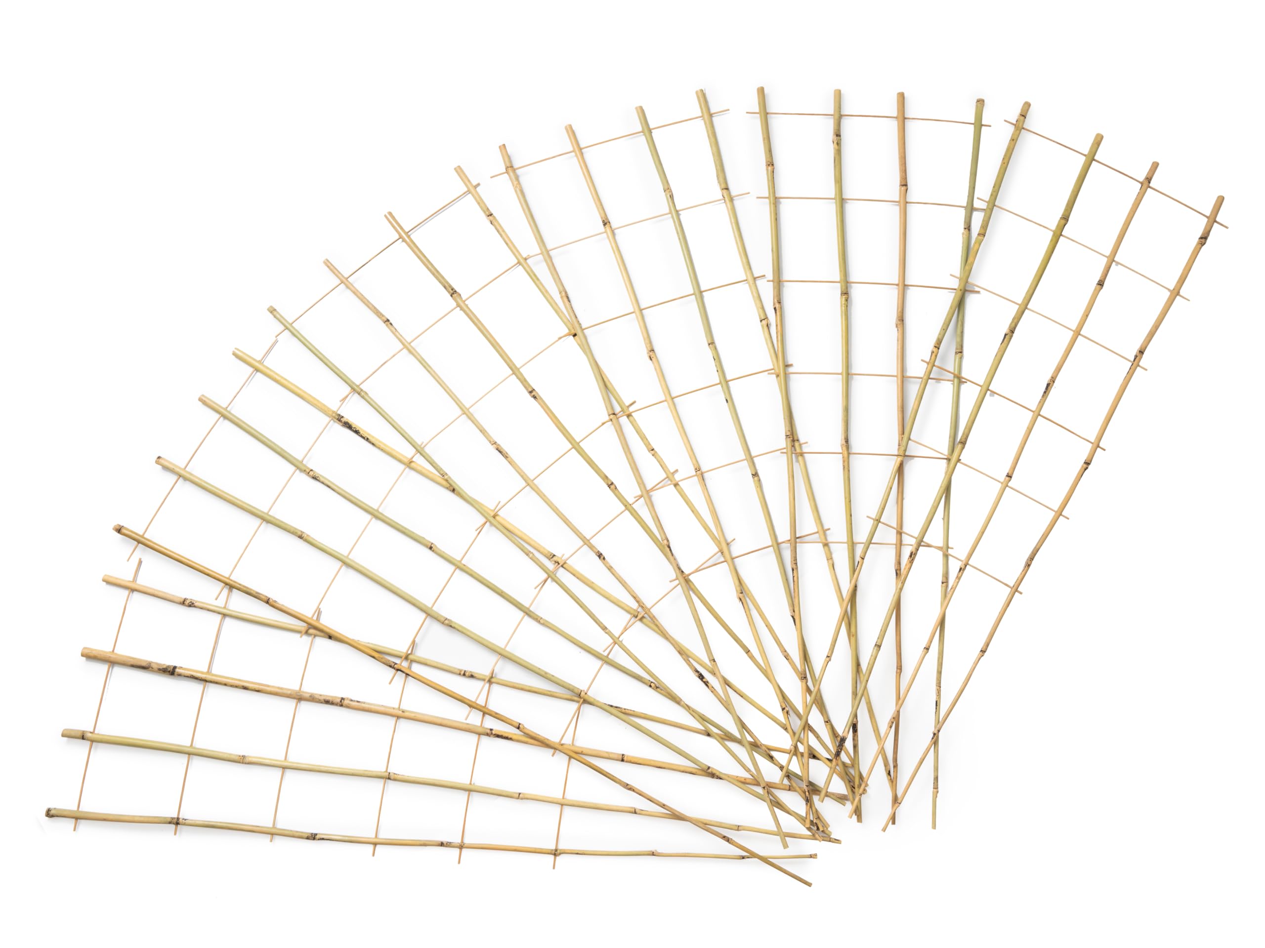 SWANGSA trellis beside a ruler showing 4ft height for clear size reference and planning