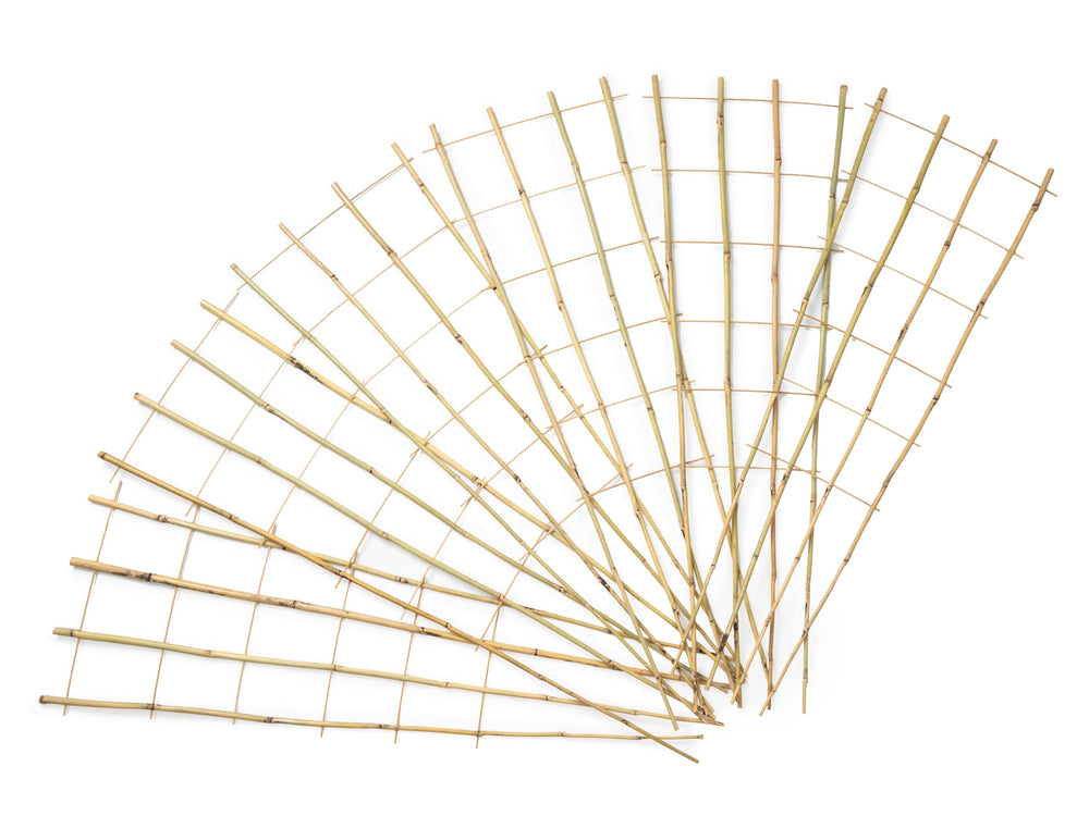 SWANGSA trellis beside a ruler showing 4ft height for clear size reference and planning