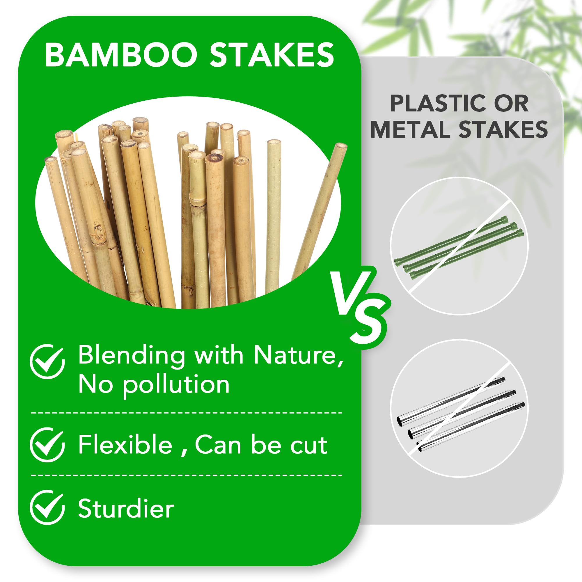 SWANGSA bamboo stake supporting a tomato plant in a pot demonstrating stable growth and reduced stem breakage