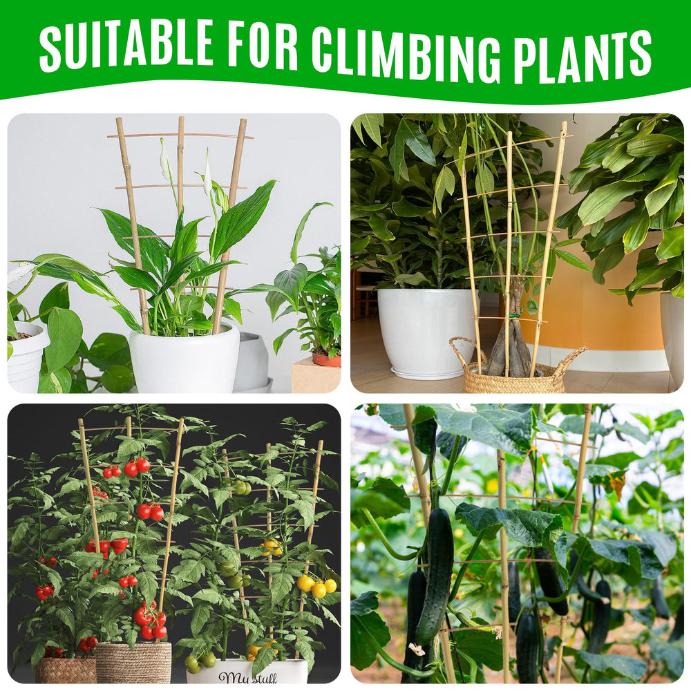SWANGSA twist tie detail securing stems and protecting plants while training