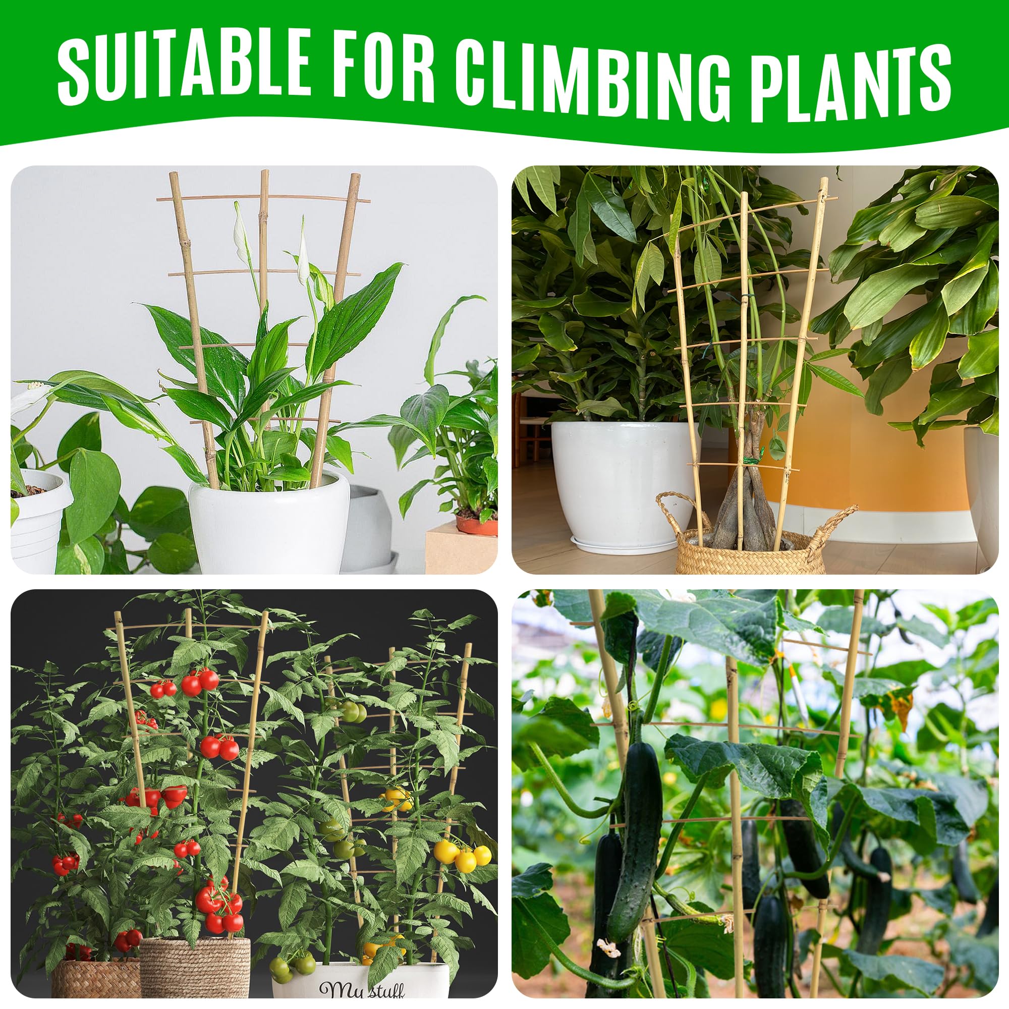 SWANGSA 100 twist ties laid out demonstrating secure, plant-friendly fastening