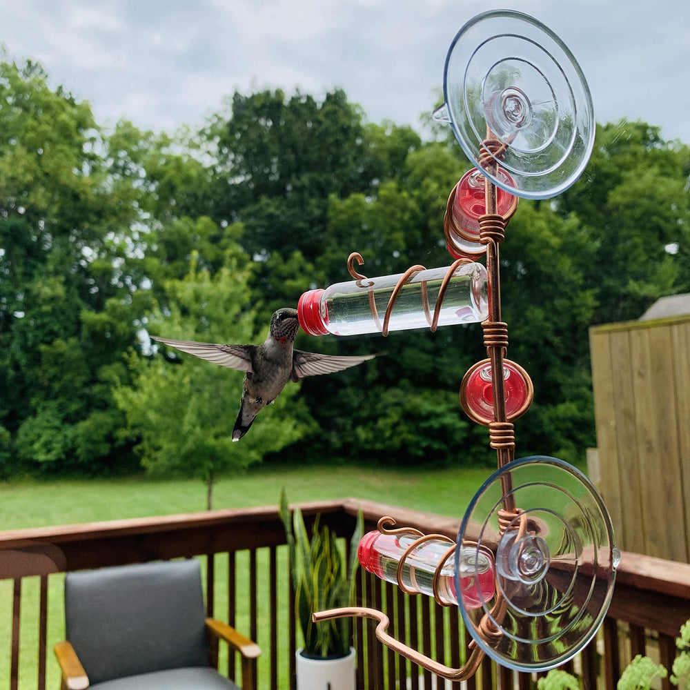 SWEET FEEDERS feeder mounted on window with hummingbird for close indoor viewing
