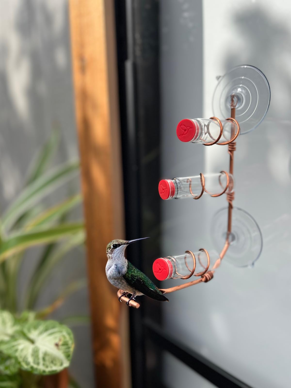 SWEET FEEDERS perch and feeding port detail showing bird-friendly access and comfort