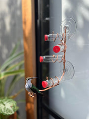 SWEET FEEDERS perch and feeding port close-up showing comfortable bird access