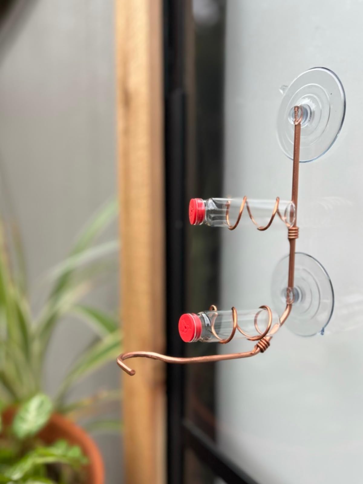 SWEET FEEDERS feeding ports and perches detail aiding comfortable bird visits