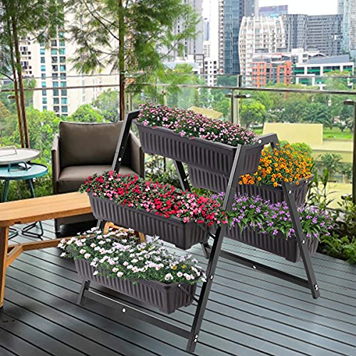 SweetBin top-down view of tiered layout showing sunlight exposure and organization benefit