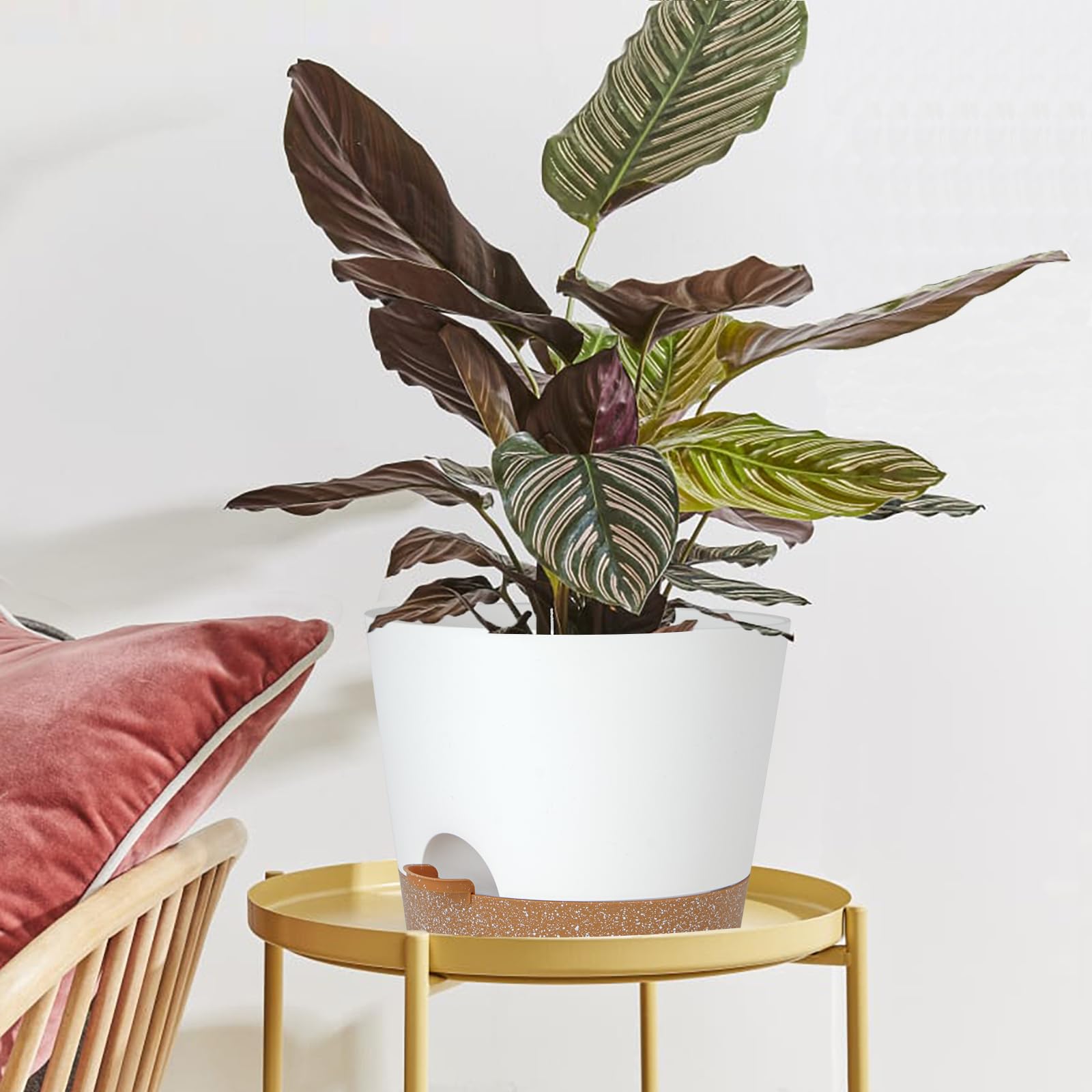 SwinDuck planter in use with fiddle leaf fig, keeps soil evenly moist and tidy
