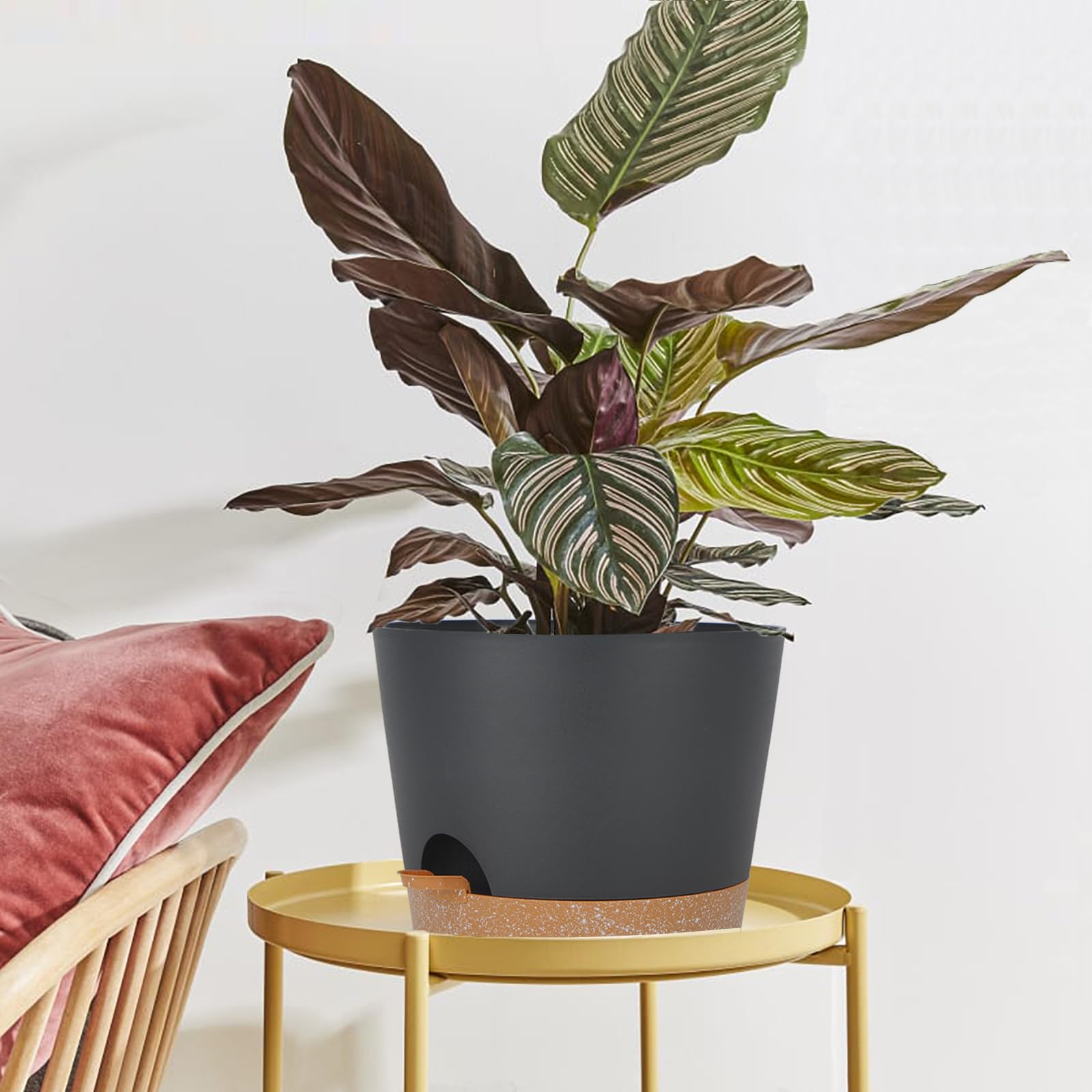 SwinDuck planter with saucer beside ruler showing scale and space-saving footprint